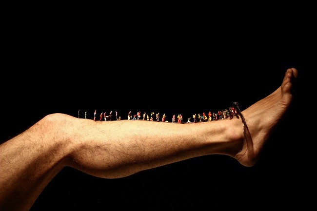 Nematomi kra&scaron;tai